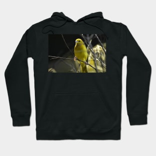 Yellow Bird Hoodie